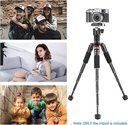 Neewer Portable Desktop Mini Tripod - Aluminum Alloy 20 inches/ 50 Centimeters with 360 Degree Ball Head, 1/4 inch Quick Shoe Plate for DSLR Camera Video Camcorder, Load up to 11 pounds/5 kilograms