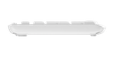 MK295 White - 04