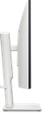 53646.webp