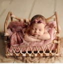 Newborn Photography Baby Photo Bed Posing Photoshoot Cany Crib