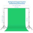 NEEWER Photography Lighting kit with Backdrops, 8.5ftx10ft Backdrop Stand, 800W Equivalent 5500K Umbrella Softbox Continuous Lighting, Photo Studio Equipment for Portrait Product Photo Shoot ()