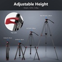 NEEWER 79”/200cm Video Tripod, Heavy Duty Aluminum Alloy Camera Tripod Stand with 360°Fluid Drag Head, QR Plate Compatible with Canon Nikon Sony and Other DSLR Camera Camcorder, Load Up to 8kg (10100651)