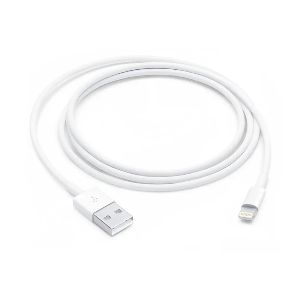 Apple Lightning to USB Cable (1 m)
