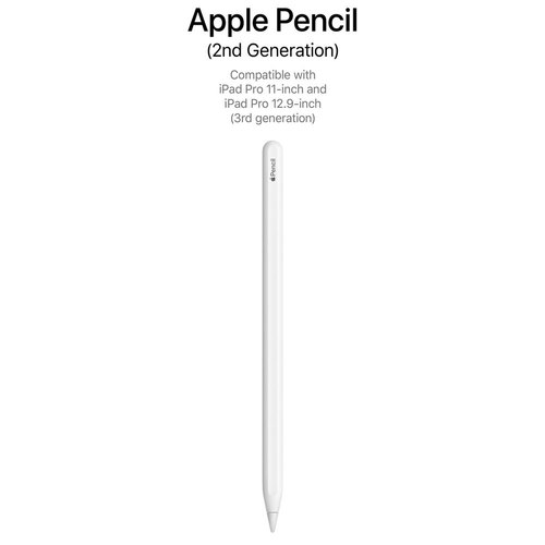 Apple Pencil (2nd Generation) stylus