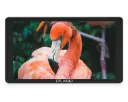 FEELWORLD P6XL 6 Inch 1200nit Aluminium Camera Field Monitor with Built-in Battery 4K HDMI