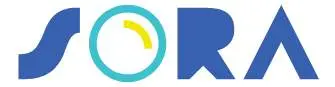 Sora ERP System