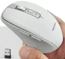 Wireless Mouse FMOUSE dual-mode 303L