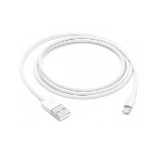 Apple Lightning to USB Cable (1 m)