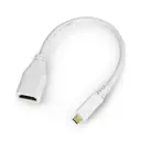 BizLink Micro hdmi to hdmi 
