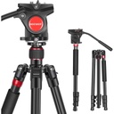 Neewer N555 2-in-1 Aluminum Alloy Camera Tripod Monopod 71.2"/181 cm with 1/4 and 3/8 inch Screws Fluid Drag Pan Head and Carry Bag for Nikon Canon DSLR Cameras Video Camcorders Load up to 17.6 pounds (10095104)