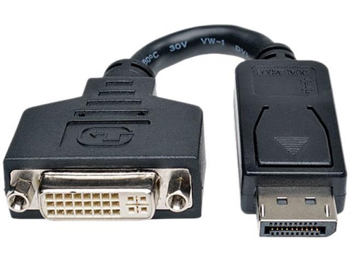 DisplayPort To DVI