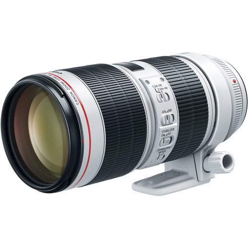 Canon EF 70-200mm f/2.8L IS III USM