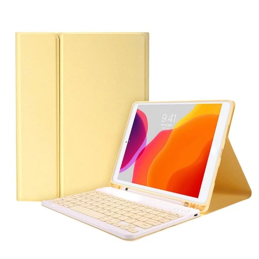 iPad Case with Smart Keyboard